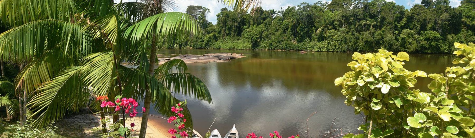 Access Suriname Travel